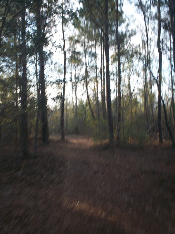 101_0097
