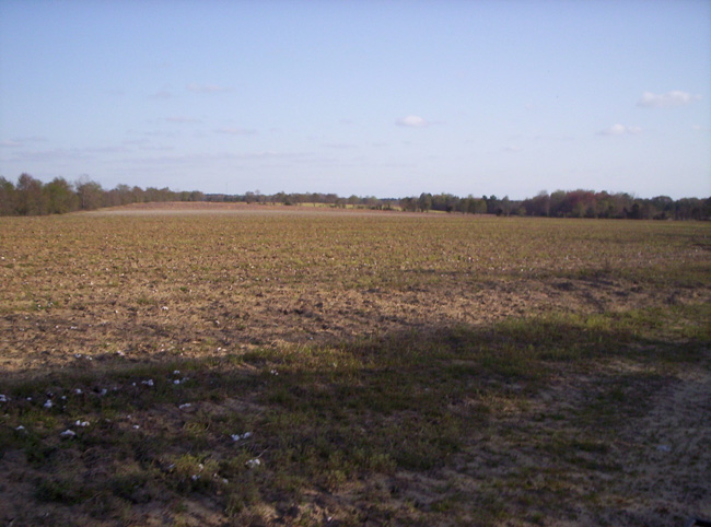 Georgia 2010 015