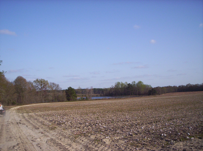 Georgia 2010 017