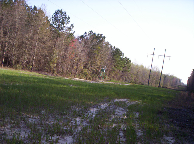 Georgia 2010 019