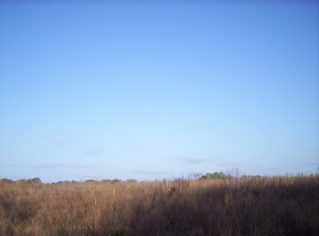 Georgia 2010 030