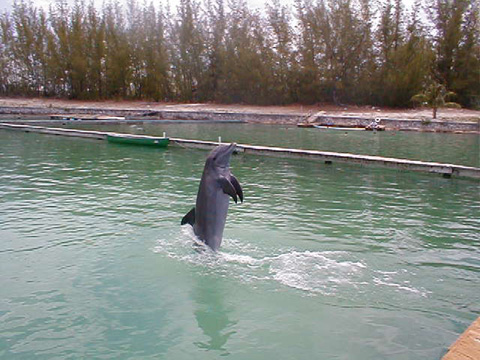 P1010092