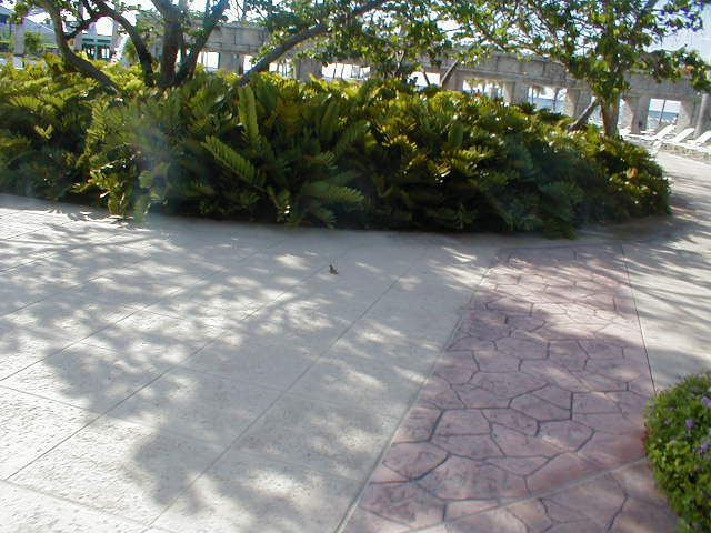 P7070002