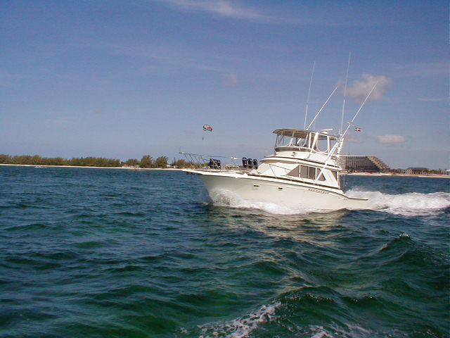 P7070007