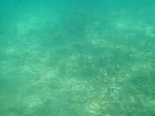 P7070013