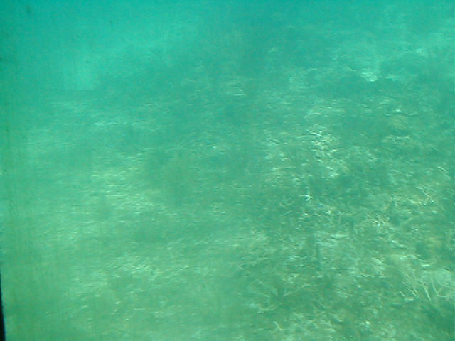P7070014