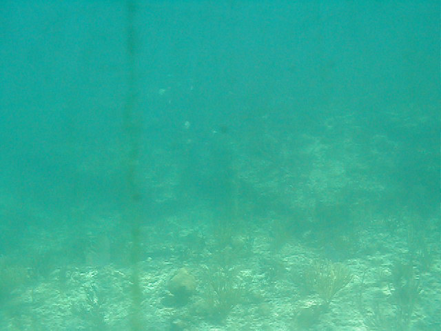 P7070018