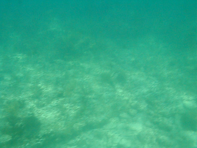 P7070022