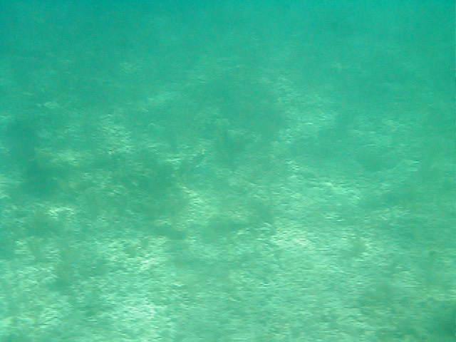 P7070027