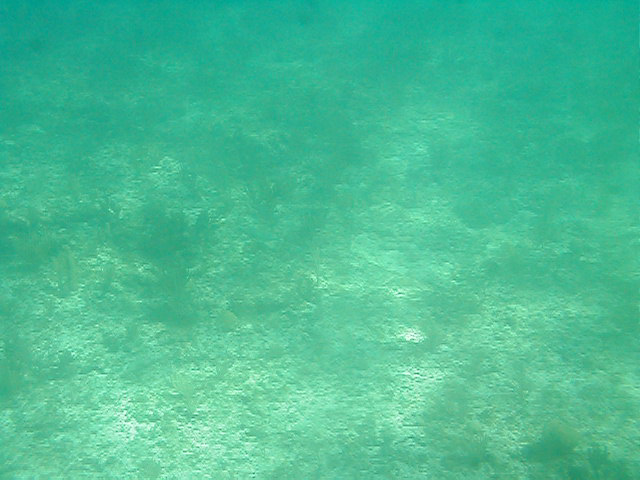 P7070028