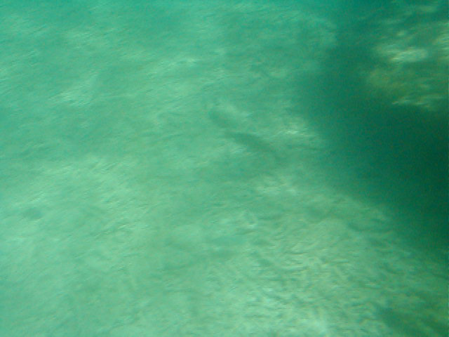 P7070044