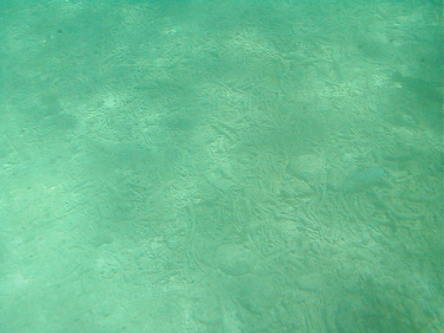 P7070045