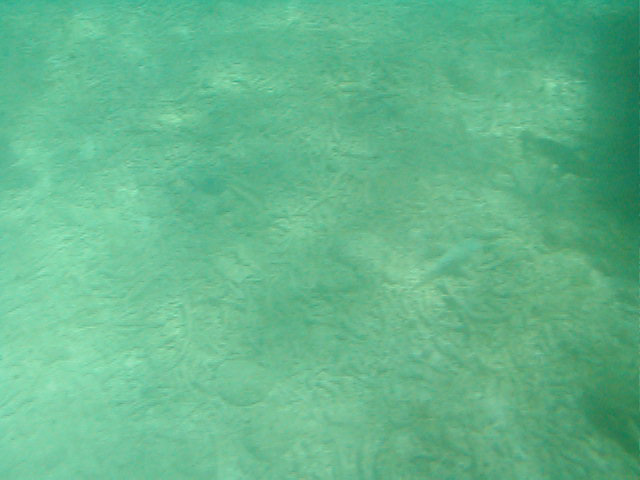 P7070046