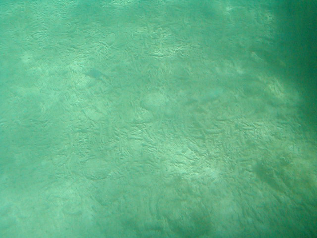 P7070047