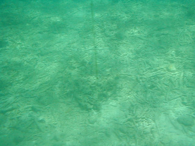 P7070052