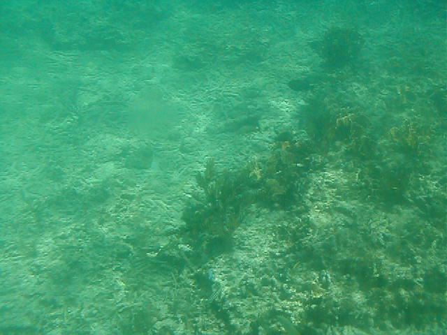 P7070053