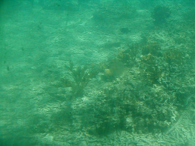P7070055
