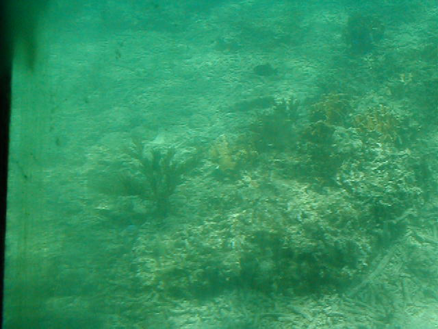 P7070056