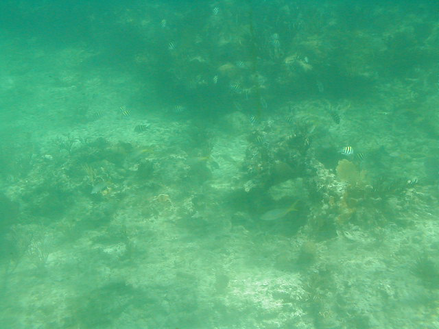 P7070057