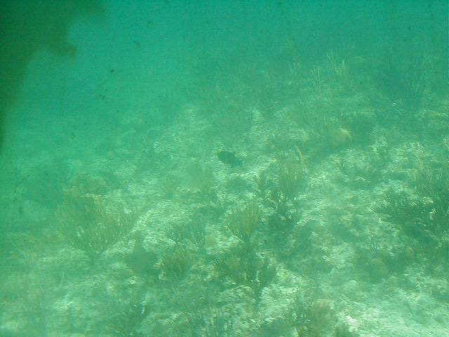P7070058