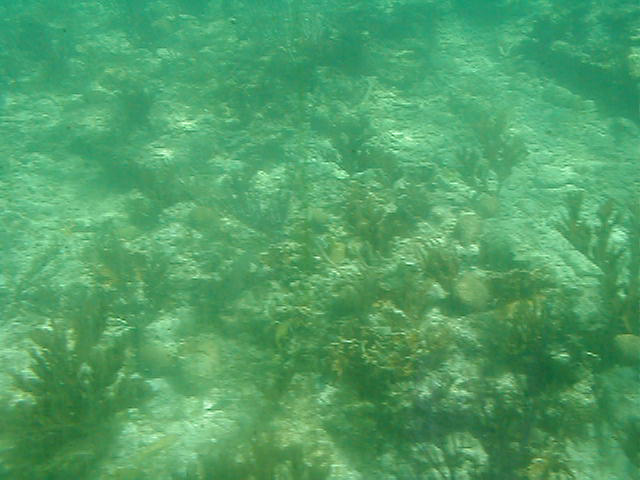 P7070059