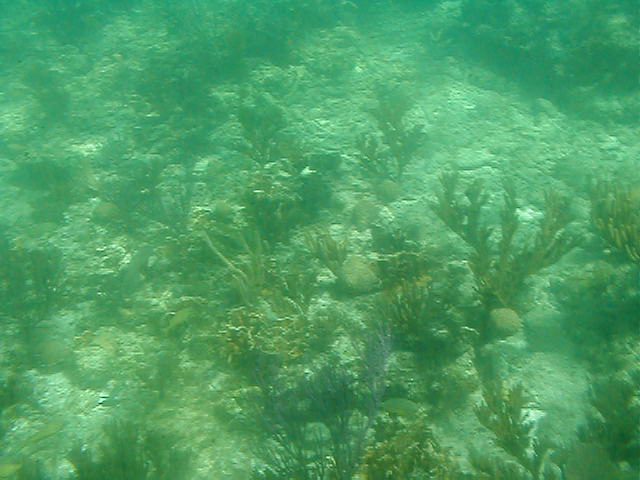 P7070060