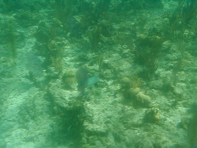 P7070062