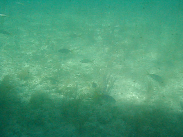 P7070065