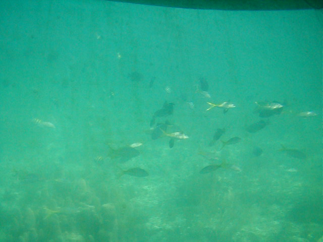 P7070070