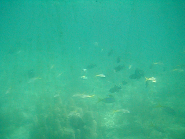 P7070073