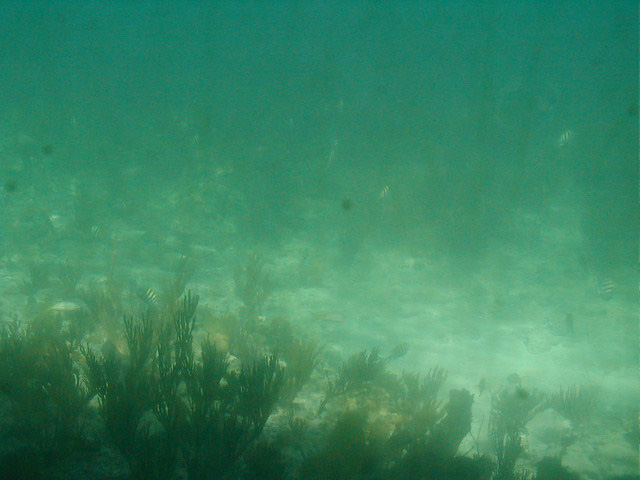 P7070076