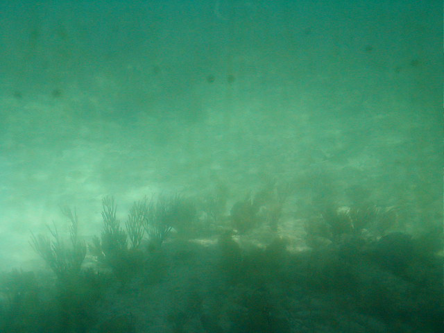 P7070078