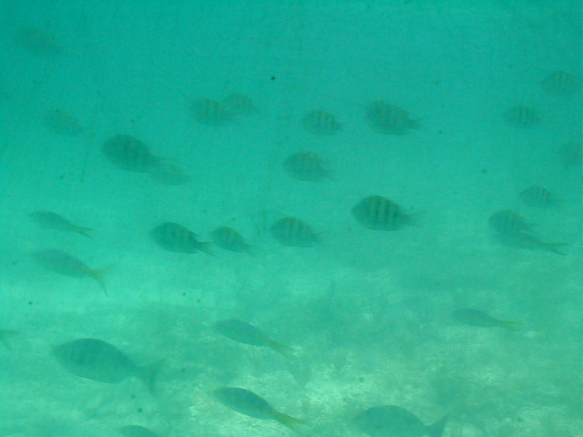 P7070082