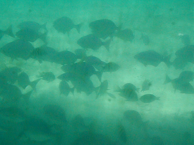 P7070086