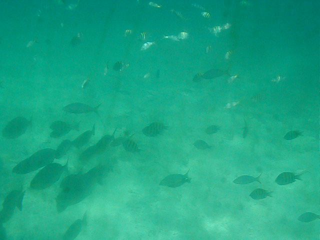 P7070088