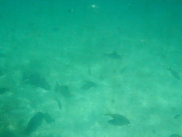 P7070089