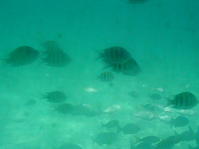 P7070093