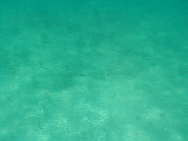P7070103
