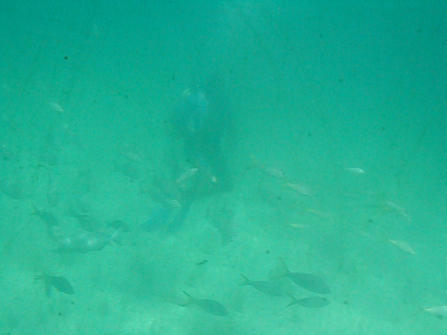 P7070107