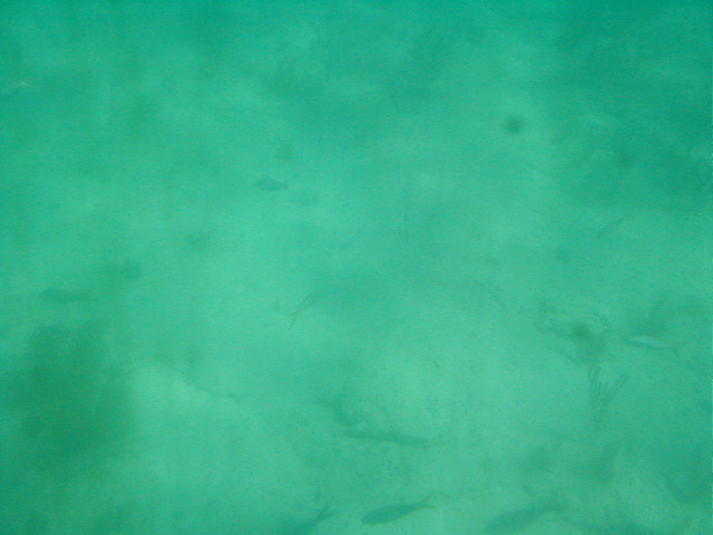 P7070117
