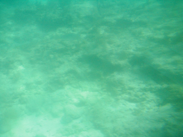 P7070120