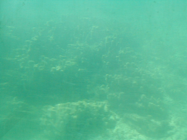 P7070122