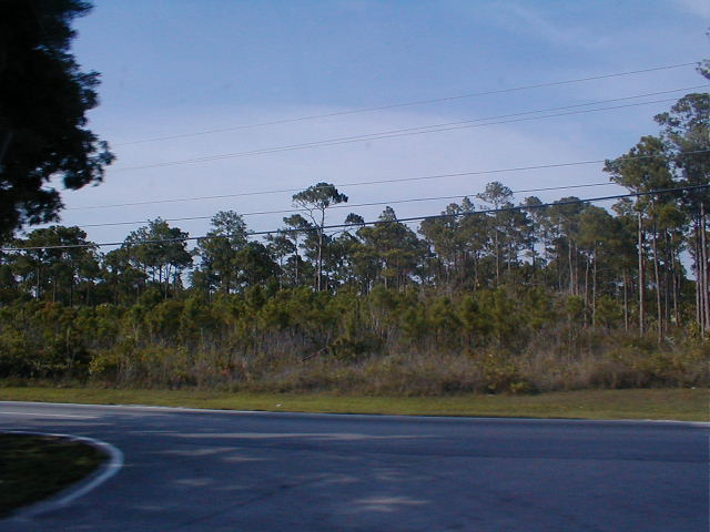 P7070003