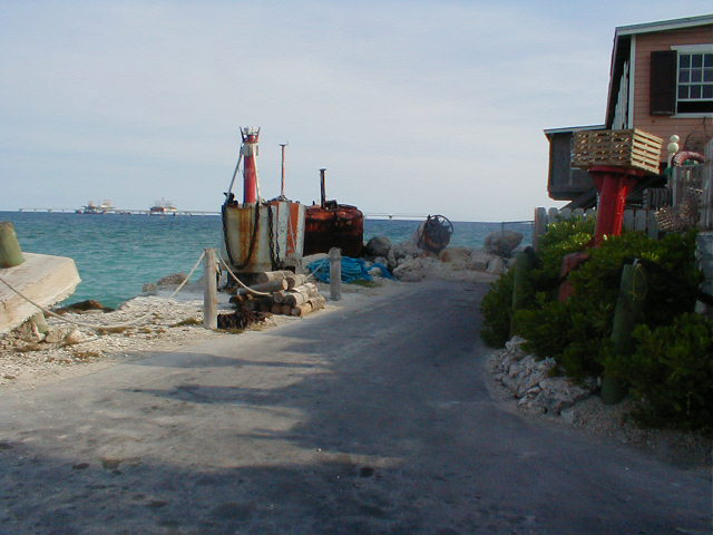 P7070005