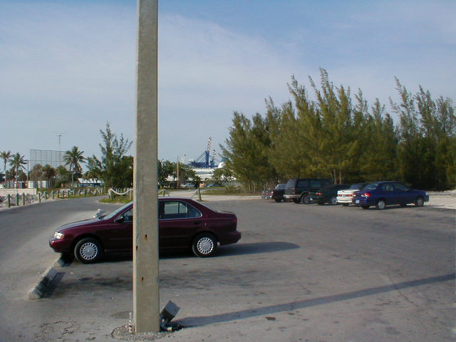 P7070007