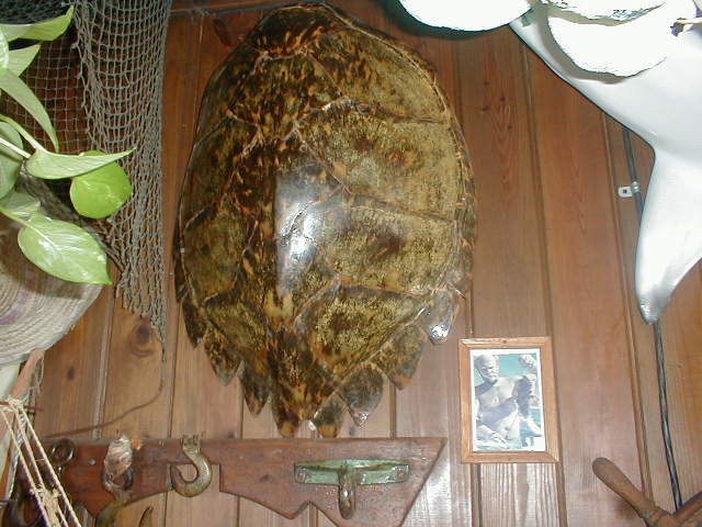 P7070011