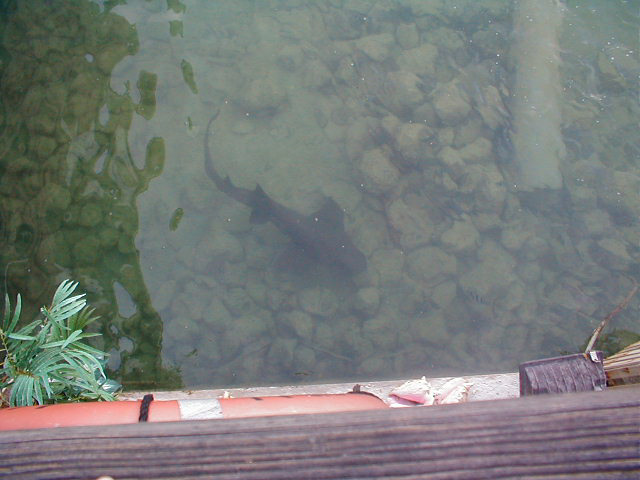P7070039