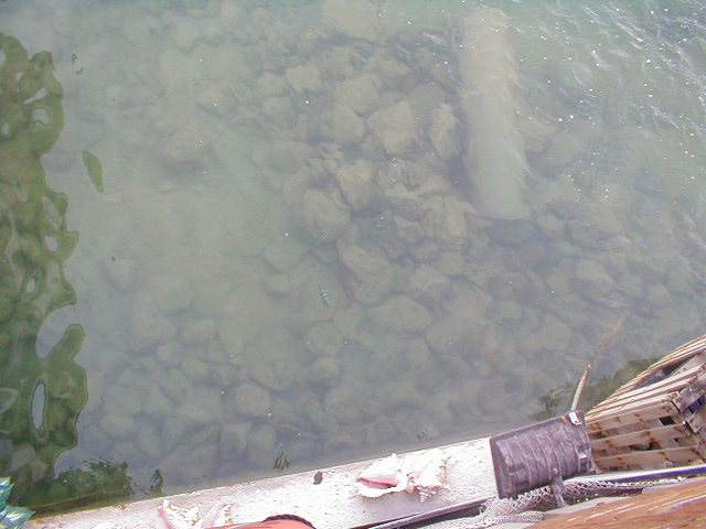 P7070045