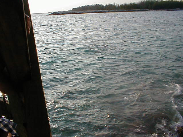 P7070051