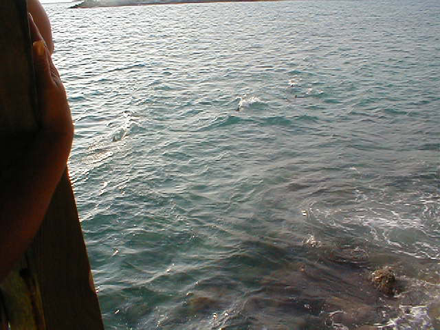 P7070054